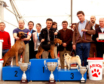 BIS Villanueva del Pardillo 2010