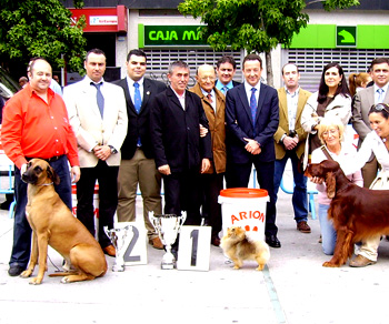 Bongo - DT Salamanca 2010