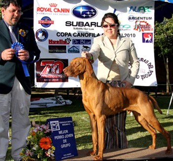 Luca en El Salvador
