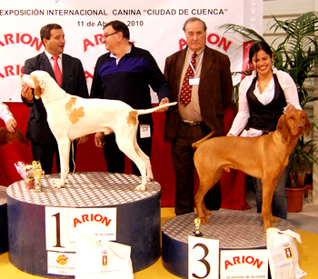 Cuenca 2010
