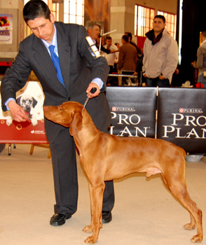 Ron 21-02-10