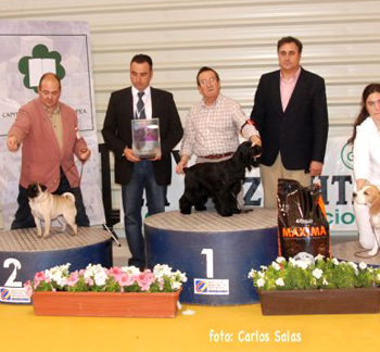 Dixy Cuenca 18-10-09