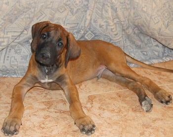 Junior 02-08-09