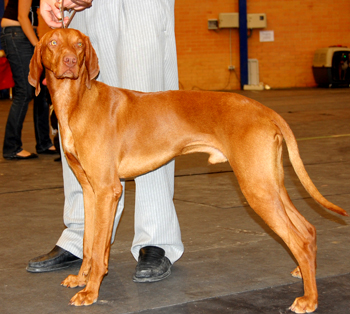 Thor 14-06
