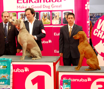 Moita 2009