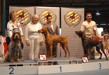 Polito - Valencia 21-12