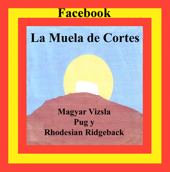 Face book