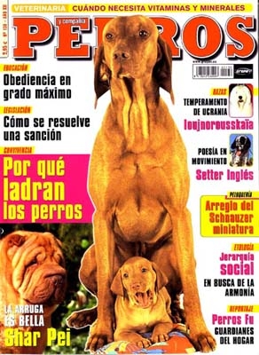 Ir a mis vizslas